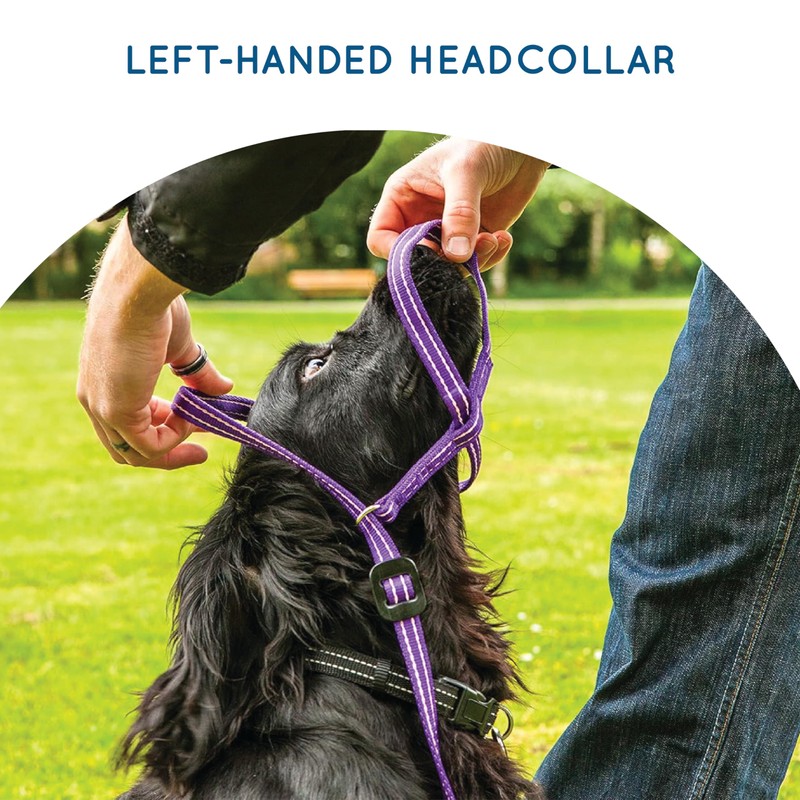 Gencon - Medium Size Anti Pull Dog Headcollar - Trainer