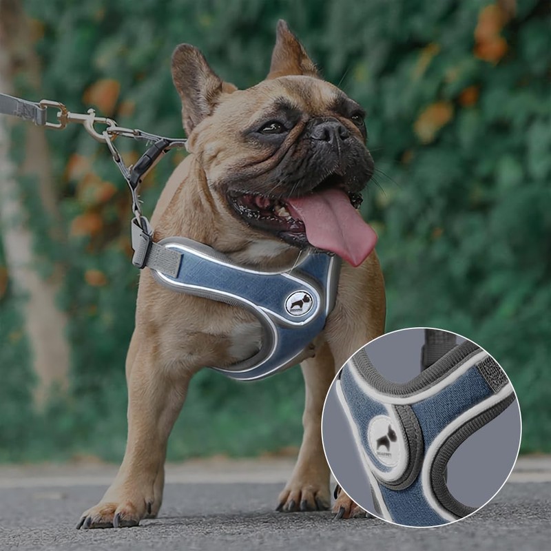 SAEGYPET Dog Harness with Leash Set, No Pull Adjustable Step