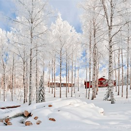 COSRX Oil-Free Ultra-Moisturizing Lotion with Birch Sap