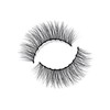 Caroline Winters Magnetic Eyelashes- 50+ Wears Reusable, All Day Wear,