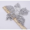 Feathers Creation Ltd Sparkling Rhinestone Curved 20 Cm Wide Applique
