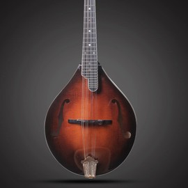 Mandolin Bridge,Adjustable Ebony Bridge for Mandolin Musical Accessory