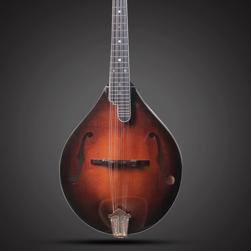 Mandolin Bridge,Adjustable Ebony Bridge for Mandolin Musical Accessory