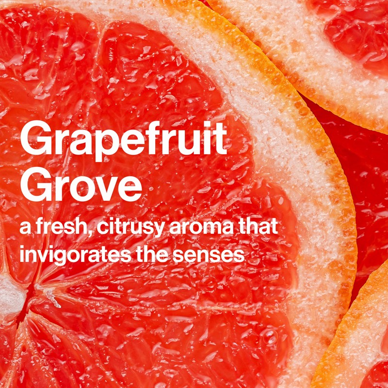 The Honest Company Plant-Based Hand Sanitizer Spray Kills 99.9% of