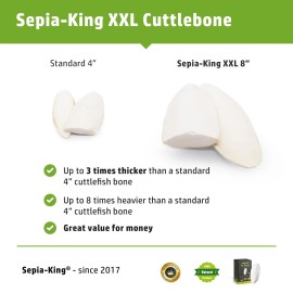 Sepia King - Extra Large - 100% Natural Calcium Supplement - Premium Cuttlebone Perfect