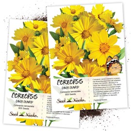 800 Seeds, Coreopsis"Lance Leaved" (Coreopsis lanceolata) Seeds by Seed Needs
