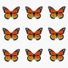 Monarch Butterfly Pack Bumper Sticker Vinyl Decal 5 inches