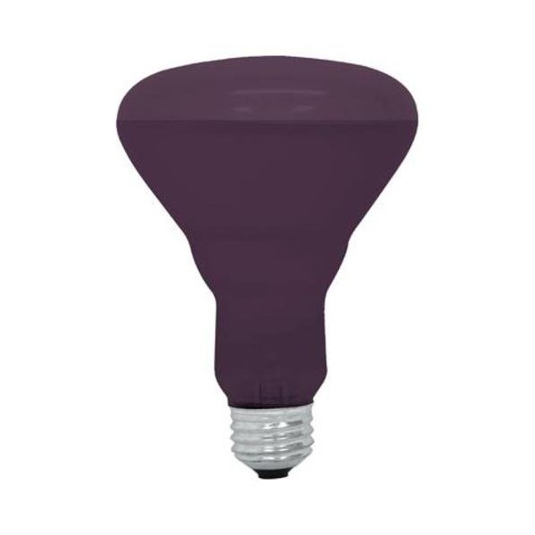 GE 75 watts R30 Spotlight Incandescent Bulb E26 (Medium) Black Light 1 pk