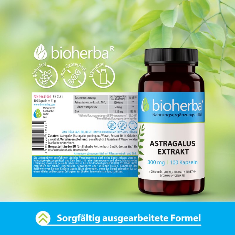 Astragalus Capsules - Pack of 200 High Dose with 300