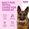 Glow Pups Football Dog Toy with Squeaker, Durable Plush Football