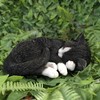 Vivid Arts - Sleeping Cat Black & White - XRL-ZC35-D