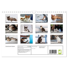 Greek Cats (Wall Calendar 2026 DIN A4 Landscape), CALVENDO Monthly Calendar: Cats from the Greek Islands (CALVENDO Animals)