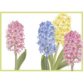 Caspari 5 Greeting Cards Blank Note Cards & Envelopes - Easter Cards - Hyacinth - 10 x 15 cm