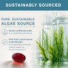 Pure & Essential Vegan Omega 3 Algae Oil Dha Epa