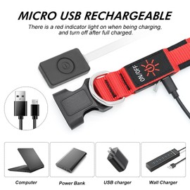 BSEEN Light Up Dog Collar - Rechargeable LED Dog Collar - Water-Resistant Reflective Puppy Collars- Glow in The Dark Christmas Dog Lights for Night Walking (Ruby Red, Medium)