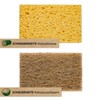 PROTEA Sustainable Dish Sponge Coconut Scrubber (Set of 2) -