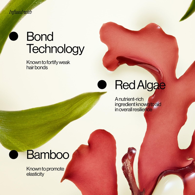 Eva NYC Repair Leave-In Hair Treatment - For Dry, Damaged