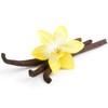 Spicebar Organic Bourbon Vanilla Powder, 5 g, Ground from Madagascar,