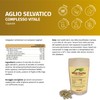Wild Garlic Extract Powder Capsules with Gotu Kola Extract Powder