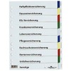 DURABLE Versicherungsregister/6741-27 DIN A4 farbiger Ablauf Hartfolie