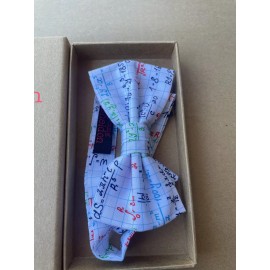 RARE Young Sheldon Bow Ties Promotional Item Big Bang Theory Promo Math equation