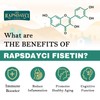 Liposomal Fisetin with Quercetin - High-Potency 1000mg Combo Antioxidant Supplement