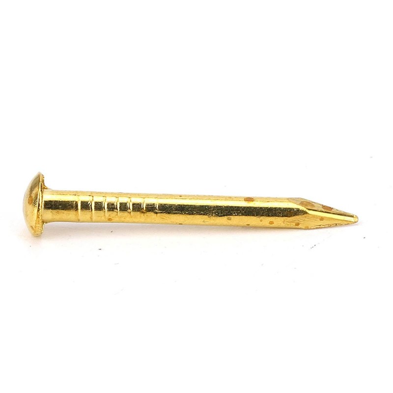 Kodrily Gold Small Nails, 100PCS Hardware Nails Assortment Kit, Round