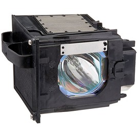 915P049010 - Lamp with Housing