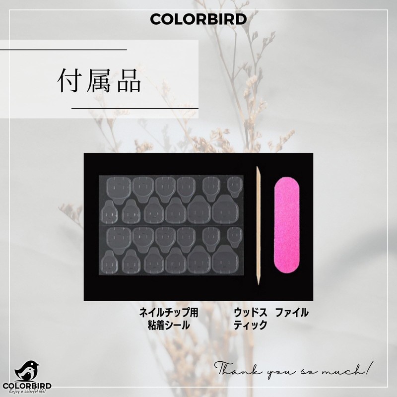 COLORBIRD Z061 Long Nail Tips, 24 Pieces, Pink, Nail Tips,