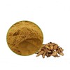 Burdock Concentrate Powder 100g Sample