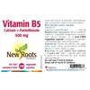 NEW ROOTS HERBAL New Roots Herbal - Vitamin B5-500mg -