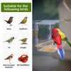 Window Bird Feeder with Strong Suction Cups - Clear Acrylic