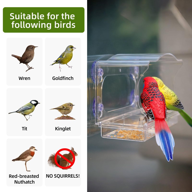Window Bird Feeder with Strong Suction Cups - Clear Acrylic