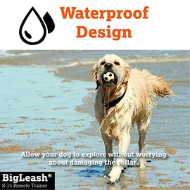The BigLeash S-15 Remote Dog Training Collar with FireFly Nightlight and In-Touch Two Way Communication by DogWatch                                   