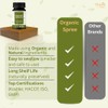 ORGANIC SPREE Kaishor Guggulu 120 Tablets - Ayurvedic Formulation -