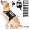 WINSEE Service Dog Harness & Leash Set, Large, Black with