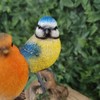 Vivid Arts - British Birds Robin & Blue Tit Home