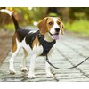 PoyPet No Pull Dog Harness with Neck Release Buckle, Reflective
