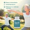 Berberina Complex 180 Caps Apoyo Bienestar General Metabólico Fórmula Ácido
