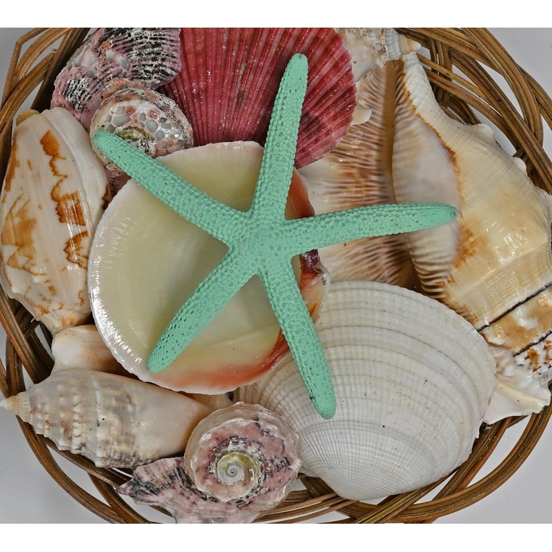 Beautiful Mixed Shell Basket - Basket of Shells - Starfish