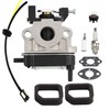 Carburetor for Hitachi RB24EA RB24EA (S) RB24EAP 23.9cc Leaf Blowers