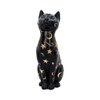 Nemesis Now Felis 26cm Figurine, Resin, Black, One Size