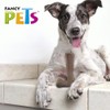 Fancy Pets Hueso Bambú Plus Juguete para Morder Sabor Carne
