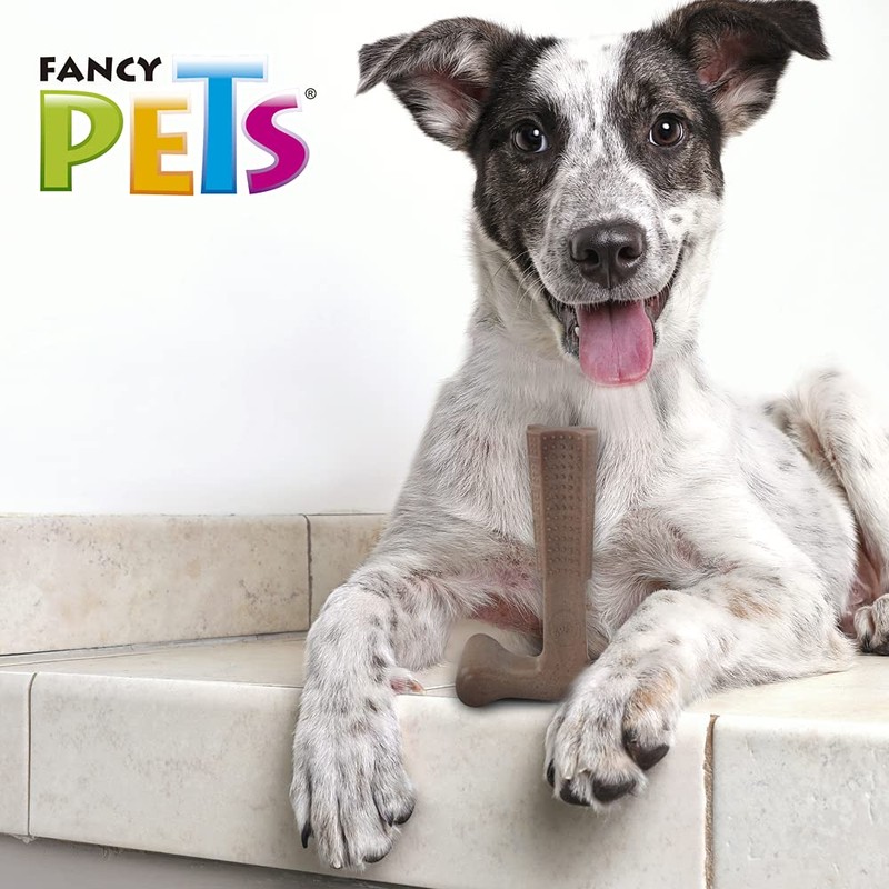 Fancy Pets Hueso Bambú Plus Juguete para Morder Sabor Carne
