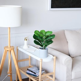 LuckyGreenery Artificial Fiddles Leaf Fig Potted Plant,Realistic Faux Tree Fake Ficus Lyrata Indoor Plants 16inch for Home,Office,Garden,Living Room Decoration with Gray Pot