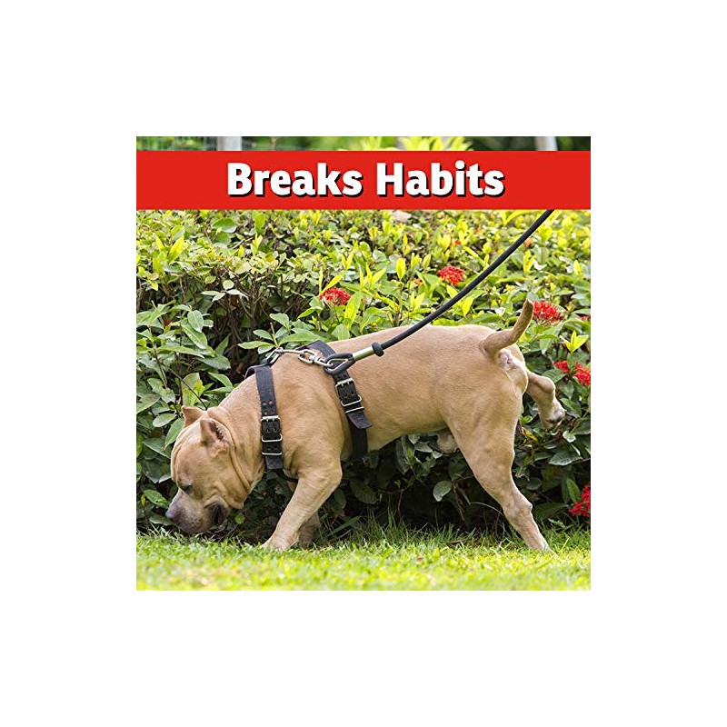 I Must Garden Dog & Cat Repellent - 10lb Granular