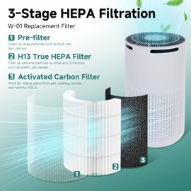 Harebery 2 Pack W-01 HEPA Filter Replacement + 8 Sponge Pads | Compatible with DBFIT W-01 Purifier | 3-Stage Filtration (Pre-Filter/HEPA/Carbon)