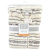 Hudson Baby Unisex Baby Plush Sleeping Bag, Sack, Blanket, Tribal,