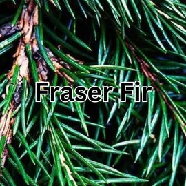 Gift for Teacher Day from Student Teacher Appreciation Gift Candle Best Educator Thank Your Present Smells Like Winter Break Decoration - Scents: Fraser Fir, Size: 9 oz. candle Clear Jar