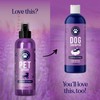 Lavender Oil Dog Deodorizing Spray - Dog Spray for Smelly